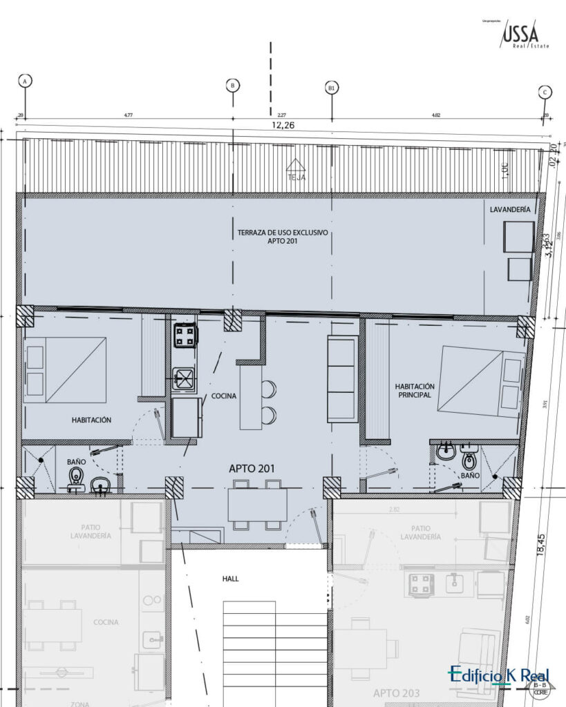 Distribución base Edificio K Real Plano general SEGUNDO PISO 201